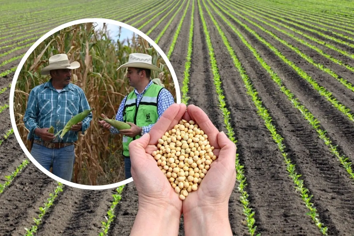 Impulsan la agricultura sostenible en Coahuila con punto de acuerdo e n el Congreso del Estado / Foto: Gobierno de Coahuila | Canva