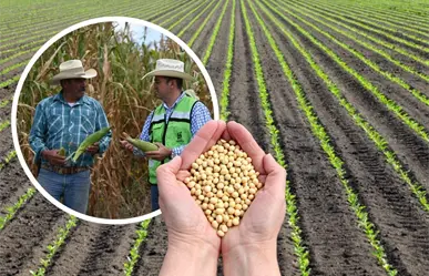 ¿Qué es la agricultura sostenible y por qué Coahuila dará incentivos a quienes la practiquen?