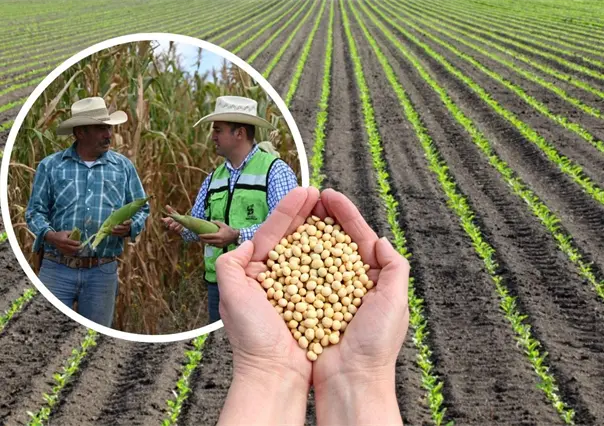 ¿Qué es la agricultura sostenible y por qué Coahuila dará incentivos a quienes la practiquen?