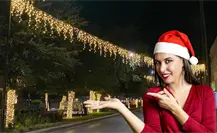 Torreón se ilumina rumbo a la Navidad; instalan luces en el bulevar Independencia Torreón se ilumina rumbo a la Navidad; instalan luces en el bulevar Independencia