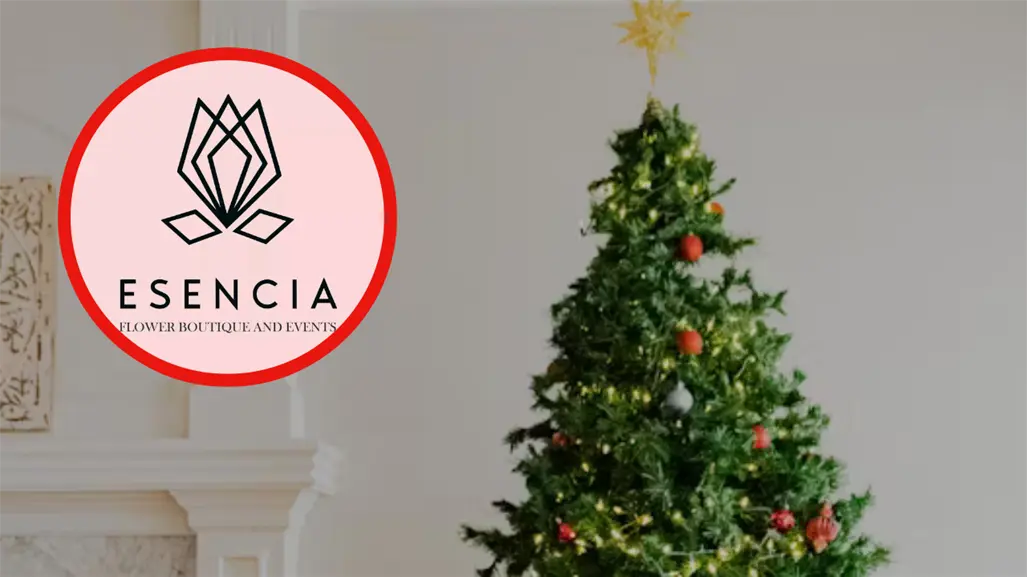 Así puedes rentar tu pinito de Navidad en Ciudad Victoria