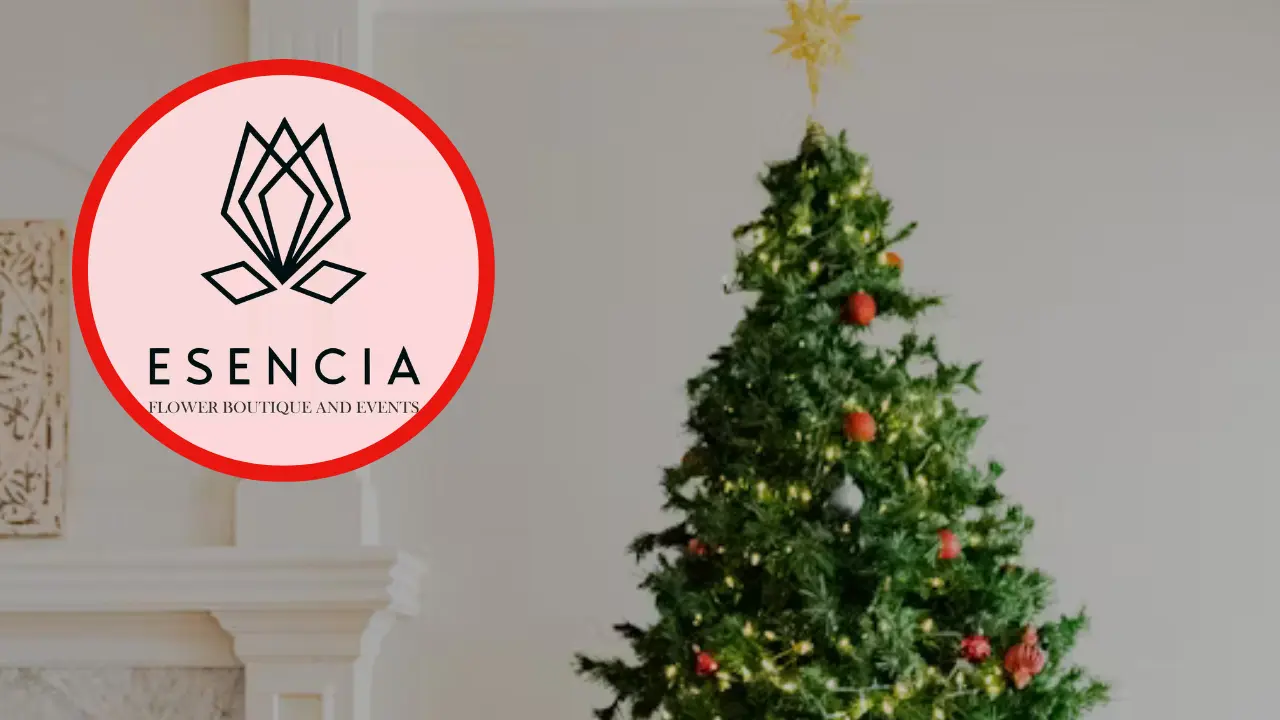Descubre cómo rentar un arbolito Navidad en Ciudad Victoria; Helloesencia facilita la decoración navideña en tu hogar.