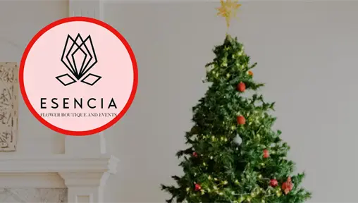 As&iacute; puedes rentar tu pinito de Navidad en Ciudad Victoria