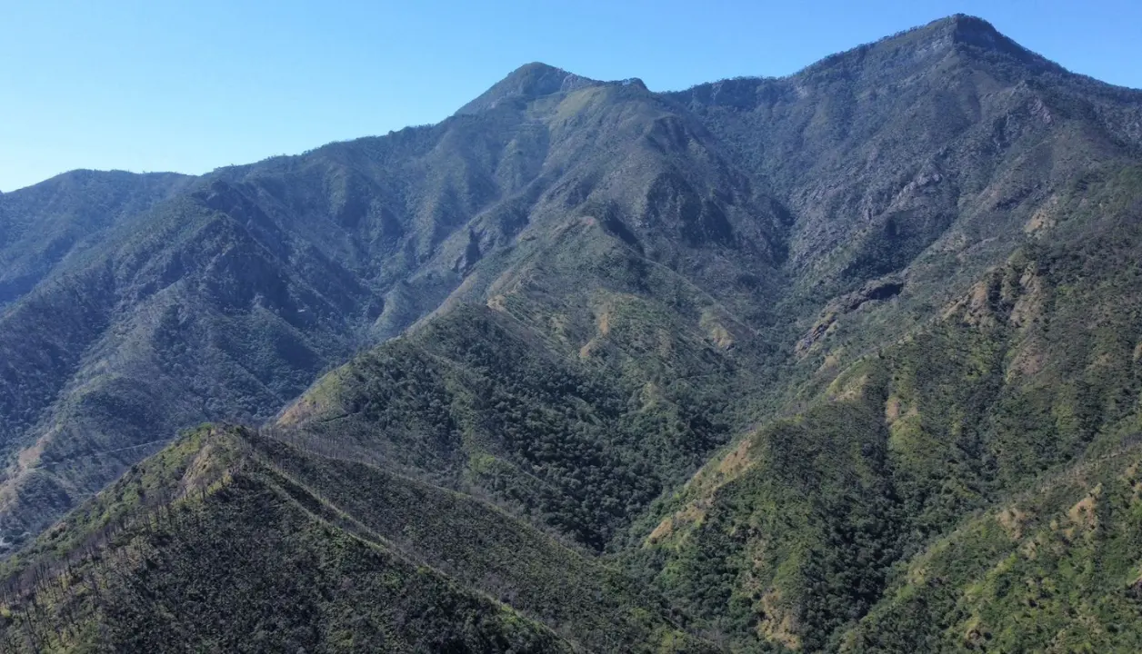 Estas acciones permiten evaluar el estado de conservación del ecosistema, fortalecer las estrategias de manejo responsable, diagnosticar los factores que degradan los recursos naturales. Foto: CONAFOR