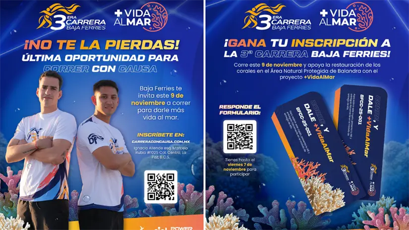 imagen recuadro Foto: Baja Ferries