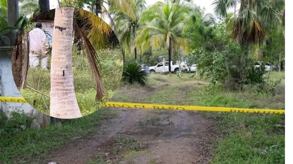 Hallan cementerio clandestino en Puerto Morelos, Quintana Roo: fueron 7 los cuerpos encontrados y serían más