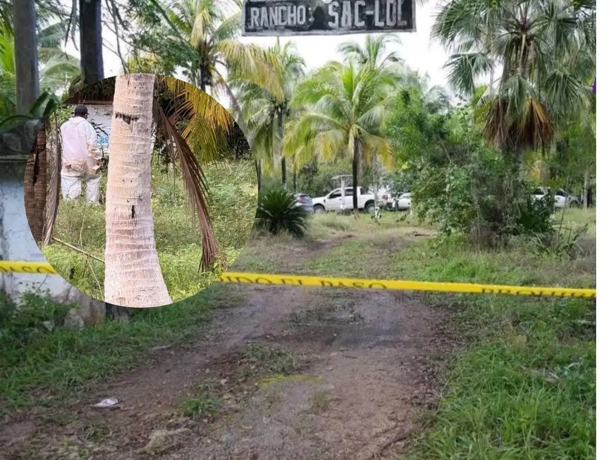 Especialistas en antropología criminalística participaron en un operativo en el cual fueron hallados al menos 7 cuerpos en un rancho ubicado cerca de la comunidad de Leona Vicario.- Fuente Reporteros Ahora