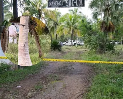 Hallan cementerio clandestino en Puerto Morelos, Quintana Roo: fueron 7 los cuerpos encontrados y serían más