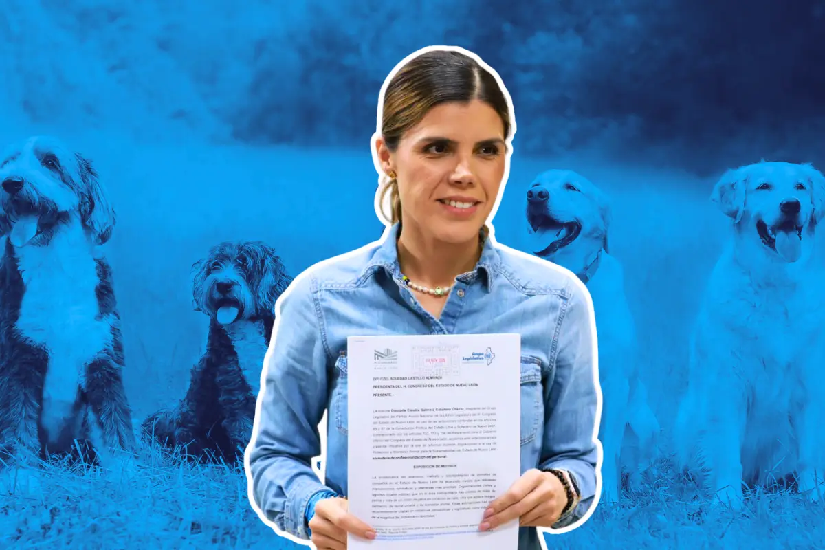 Claudia Caballero, diputada local, propone fortalecer la profesionalización de los Centros de Bienestar Animal en Nuevo León para proteger a los animales. Foto: Canva