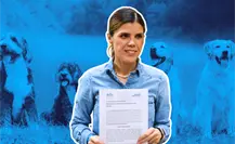 Nuevo León y la profesionalización de sus Centros de Bienestar Animal según Claudia Caballero