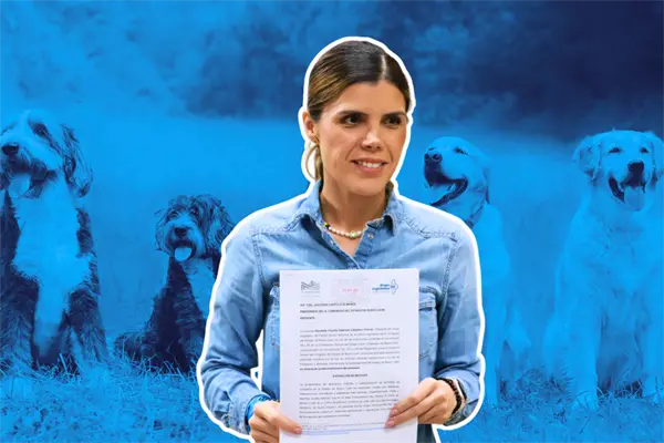 Nuevo León y la profesionalización de sus Centros de Bienestar Animal según Claudia Caballero Nuevo León y la profesionalización de sus Centros de Bienestar Animal según Claudia Caballero
