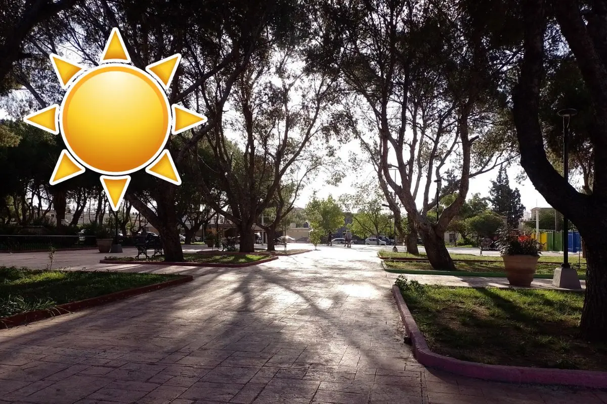 Este será el clima en Coahuila para este viernes 7 de noviembre / Foto: Carmen Celia Cruz | Canva