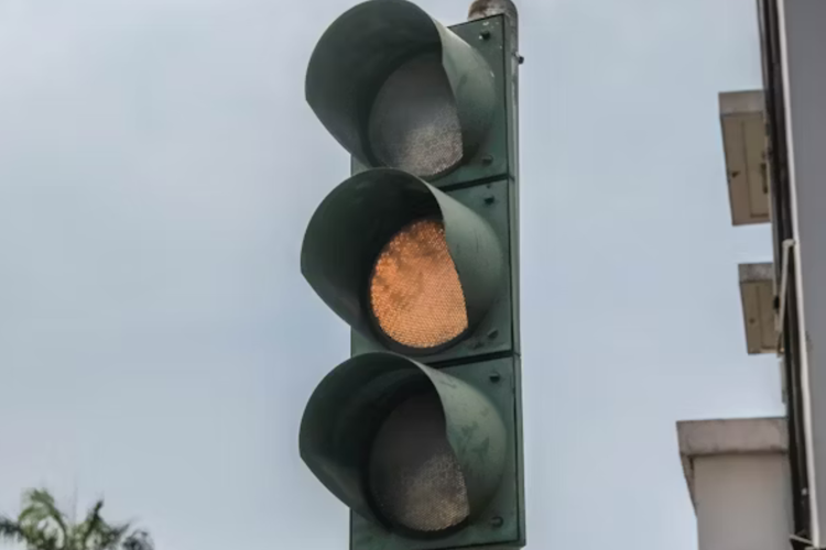 imagen-cuerpo imagen-cuerpo