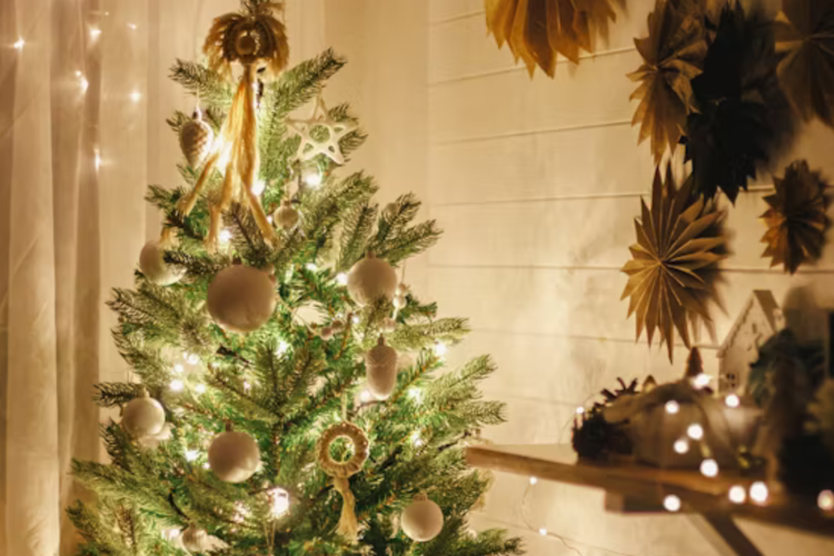 imagen-cuerpo imagen-cuerpo