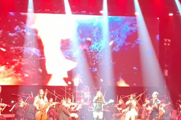 imagen-cuerpo imagen-cuerpo