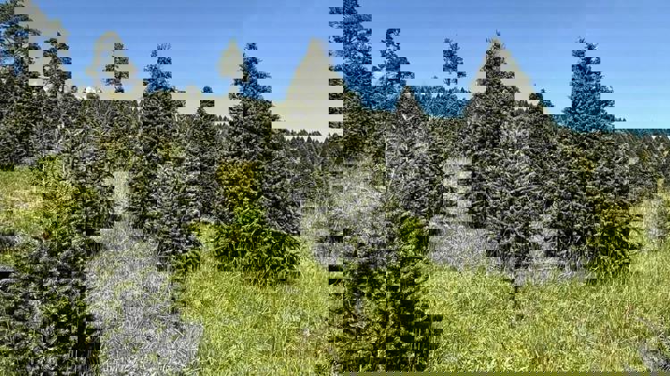 imagen-cuerpo imagen-cuerpo