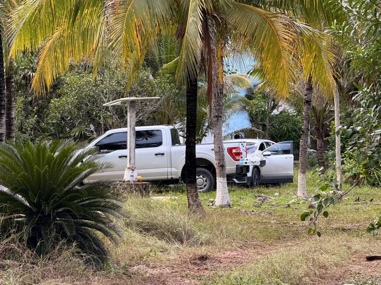 imagen-cuerpo imagen-cuerpo