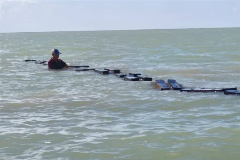Supervisión de granjas de ostión americano | Foto: SDRPA