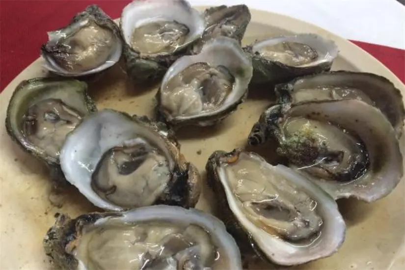 Se evalúa el crecimiento de los ostiones | Foto: SDRPA