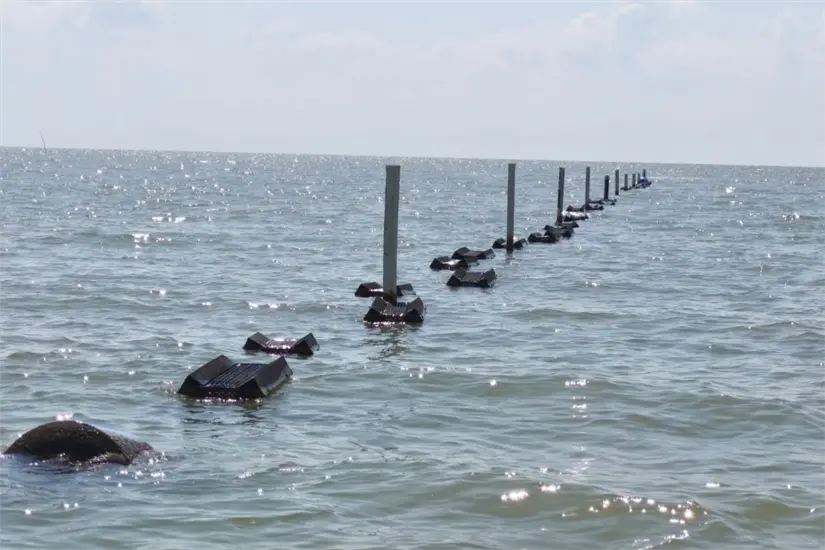 Se supervisa la medición de parámetros fisicoquímicos del agua | Foto: SDRPA
