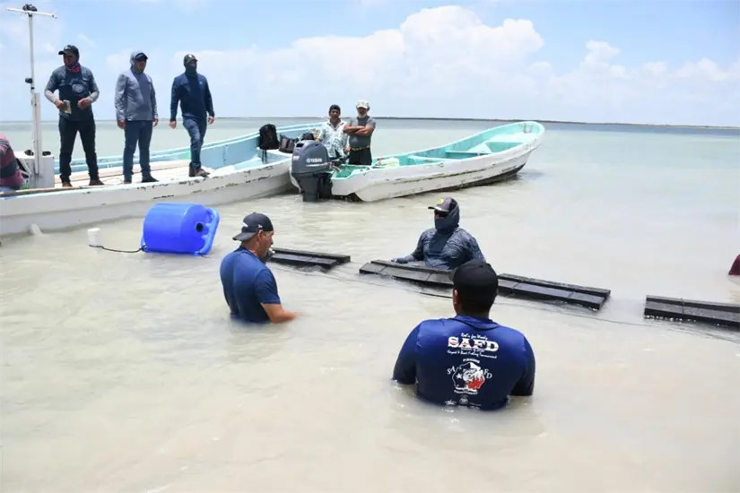 La subsecretaría exhorta a los productores a mantener prácticas acuícolas | Foto: SDRPA