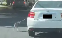 VIDEO l Hombre obliga a perro amarrado a correr mientras conduce auto en Monterrey VIDEO l Hombre obliga a perro amarrado a correr mientras conduce auto en Monterrey
