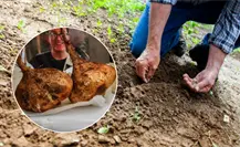 Huertos inteligentes, la nueva apuesta de estudiantes de la UTP para el campo yucateco Huertos inteligentes, la nueva apuesta de estudiantes de la UTP para el campo yucateco