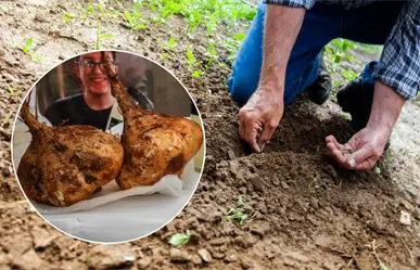 Huertos inteligentes, la nueva apuesta de estudiantes de la UTP para el campo yucateco