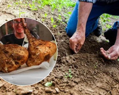 Huertos inteligentes, la nueva apuesta de estudiantes de la UTP para el campo yucateco