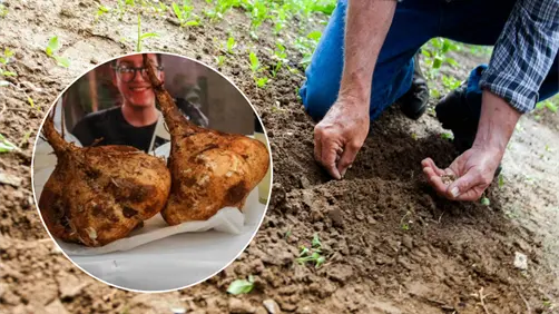 Huertos inteligentes, la nueva apuesta de estudiantes de la UTP para el campo yucateco