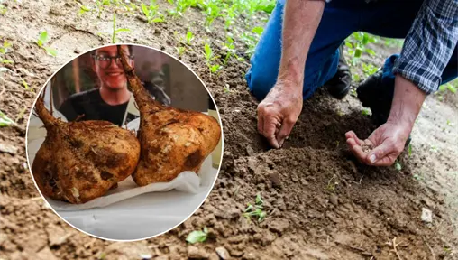 Huertos inteligentes, la nueva apuesta de estudiantes de la UTP para el campo yucateco Huertos inteligentes, la nueva apuesta de estudiantes de la UTP para el campo yucateco