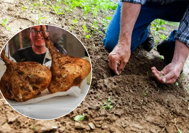 Huertos inteligentes, la nueva apuesta de estudiantes de la UTP para el campo yucateco