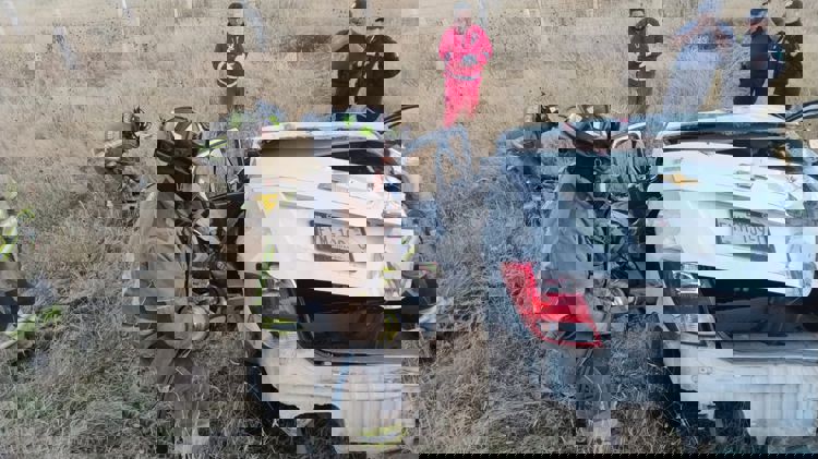 imagen-cuerpo imagen-cuerpo