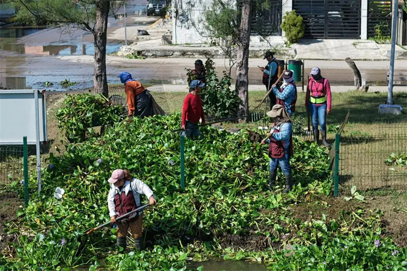 imagen recuadro Saneamiento de la laguna La Ilusión en Ciudad Madero. Foto: Axel Hassel