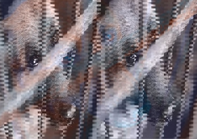 imagen-cuerpo imagen-cuerpo