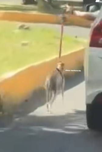 imagen-cuerpo imagen-cuerpo