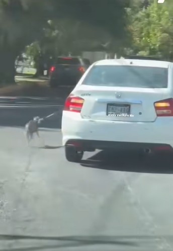 imagen-cuerpo imagen-cuerpo