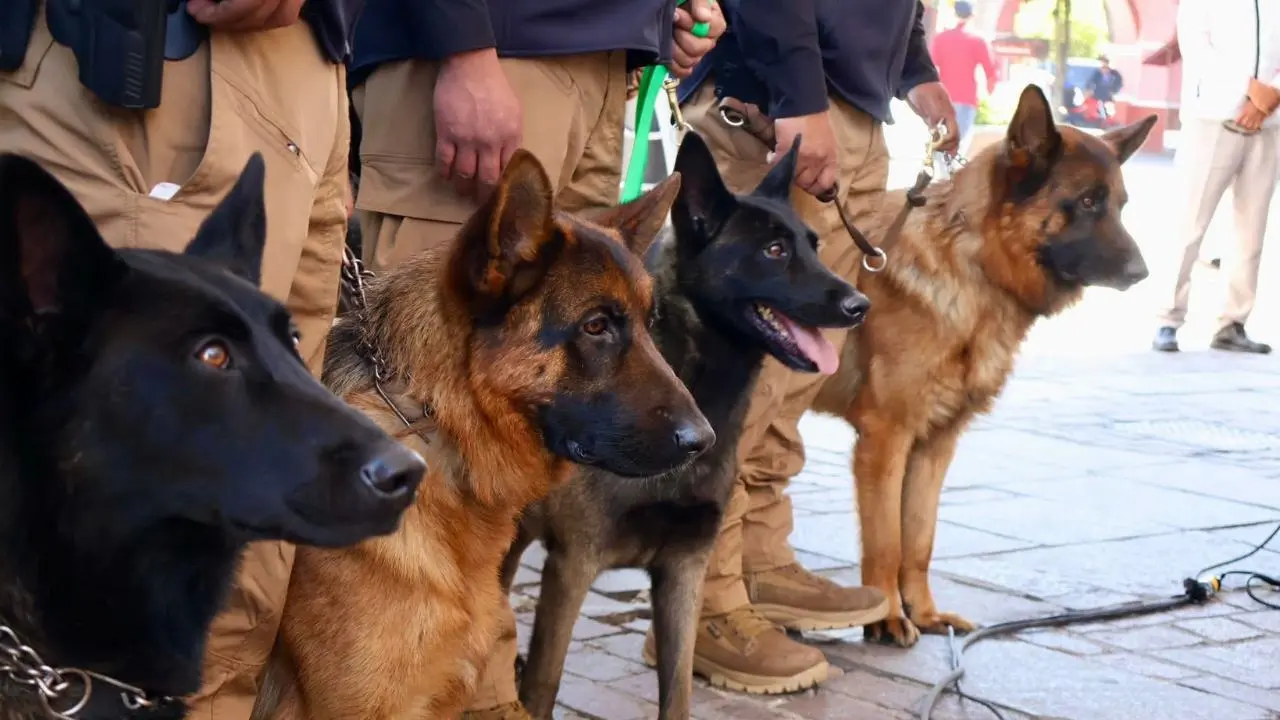 Metepec presenta la primera Policía Ambiental y de Protección Animal del Edomex. Foto: Reporte Valle de Toluca 2