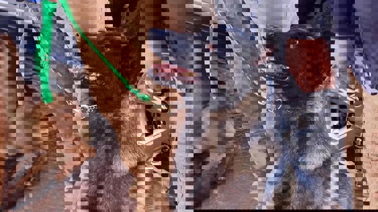 imagen-cuerpo imagen-cuerpo