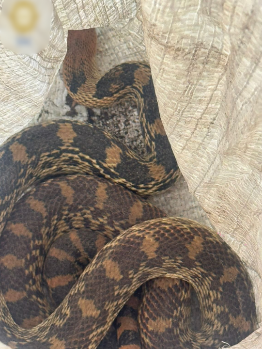 imagen-cuerpo imagen-cuerpo