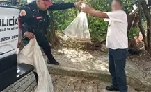 Policías resguardan víbora de tres metros dentro de una casa en Álvaro Obregón, CDMX Policías resguardan víbora de tres metros dentro de una casa en Álvaro Obregón, CDMX