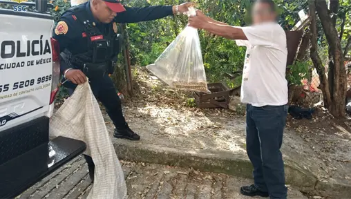 Policías resguardan víbora de tres metros dentro de una casa en Álvaro Obregón, CDMX Policías resguardan víbora de tres metros dentro de una casa en Álvaro Obregón, CDMX