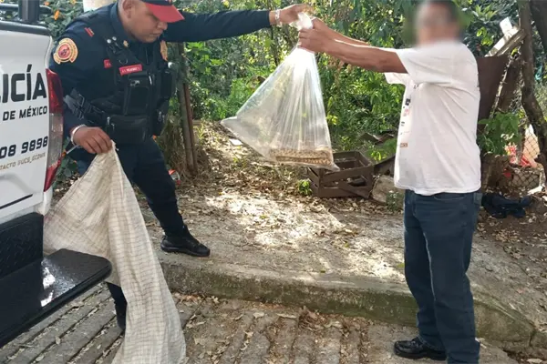 Policías resguardan víbora de tres metros dentro de una casa en Álvaro Obregón, CDMX Policías resguardan víbora de tres metros dentro de una casa en Álvaro Obregón, CDMX