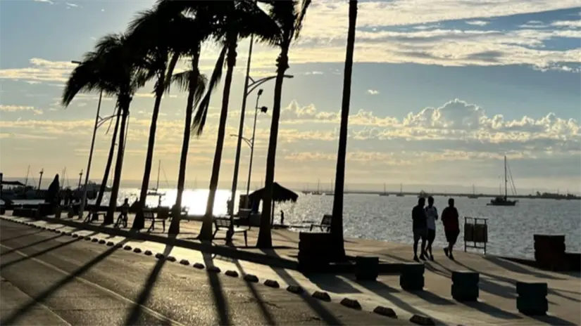 imagen recuadro Foto: Archivo POSTA Baja California Sur