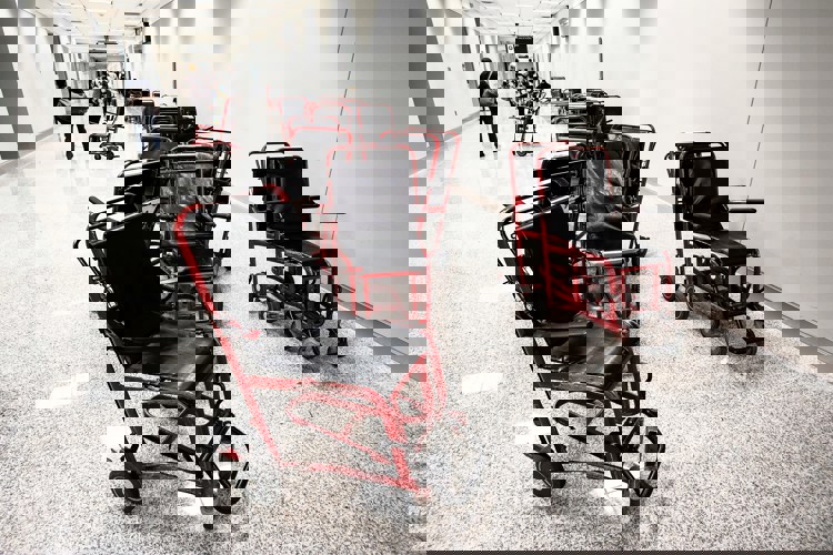 imagen-cuerpo imagen-cuerpo