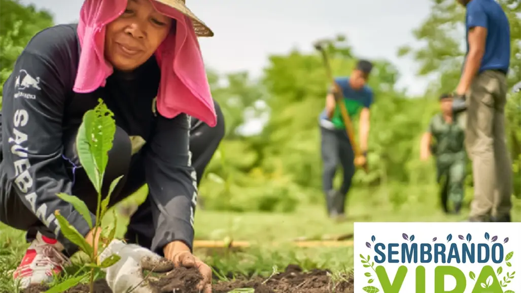 Sembrando Vida: ¿Cuándo se otorga el pago y cuánto les corresponde a los beneficiarios?
