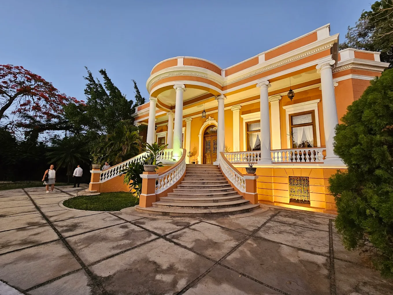 imagen-cuerpo imagen-cuerpo