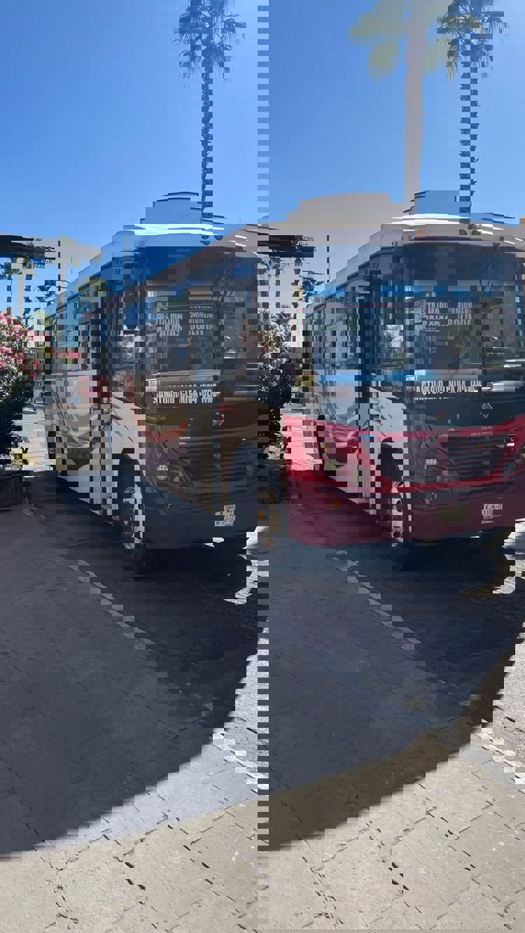 imagen-cuerpo imagen-cuerpo