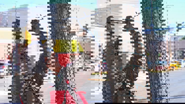 imagen-cuerpo imagen-cuerpo