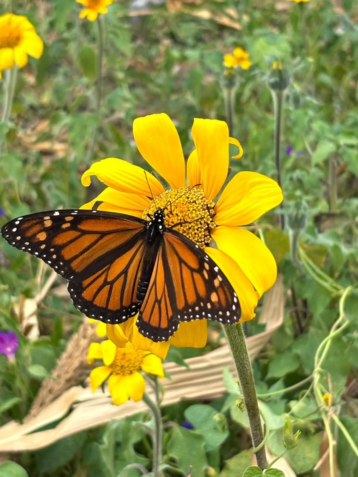 imagen recuadro imagen recuadro